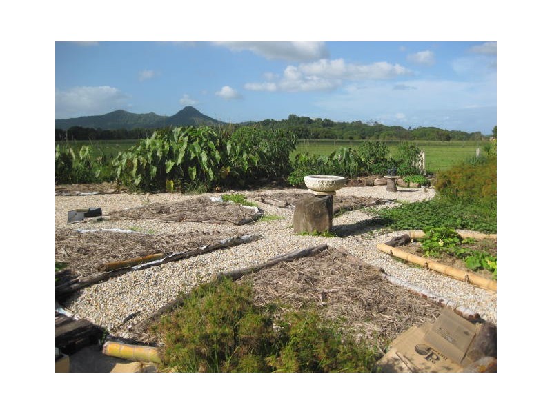 34 Wilsons Creek Road, Wilsons Creek NSW 2482