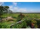 34 Wilsons Creek Road, Wilsons Creek NSW 2482