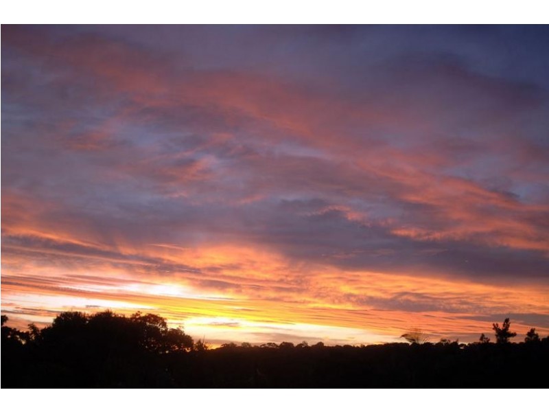 12 Muskwood Place, Bangalow NSW 2479