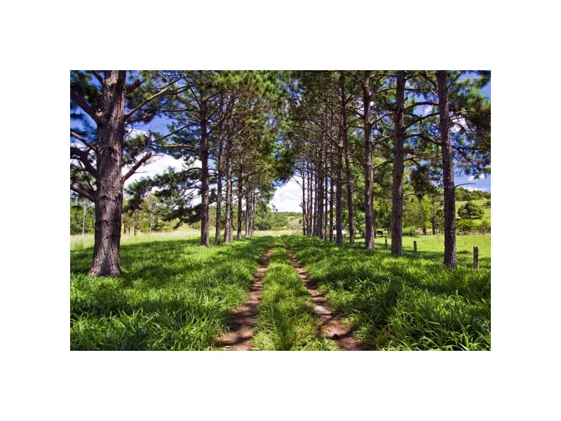 256 Midgen Flat Road, Newrybar NSW 2479