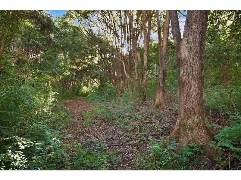 Lot 9, 231 Fowlers Lane, Bangalow NSW 2479
