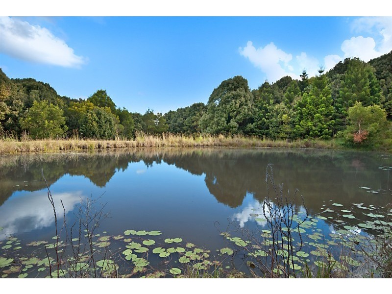 Lot 9, 231 Fowlers Lane, Bangalow NSW 2479