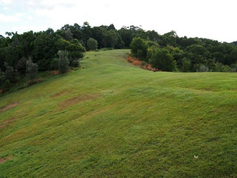 95 Blackbutt Road, Broken Head NSW 2481