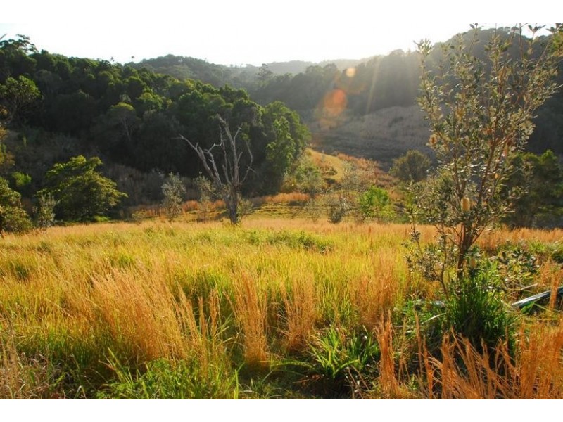 95 Blackbutt Road, Broken Head NSW 2481