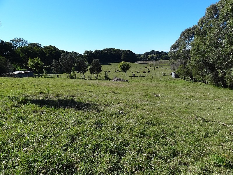 51 Kennedys Lane, Tyagarah NSW 2481