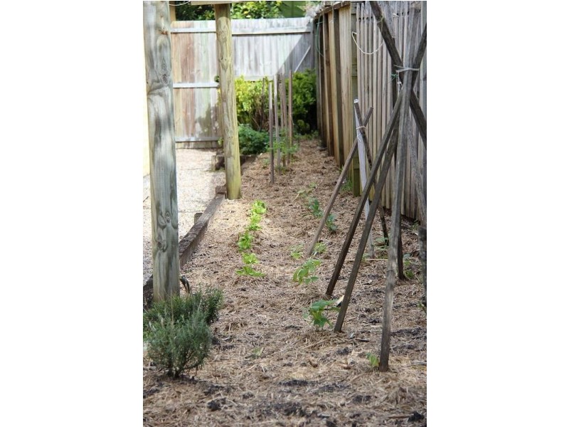 5 Lasiandra Close, Suffolk Park NSW 2481