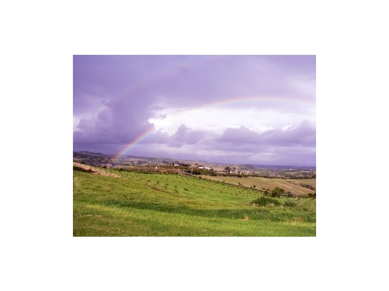 440 Bangalow Road, Talofa NSW 2481