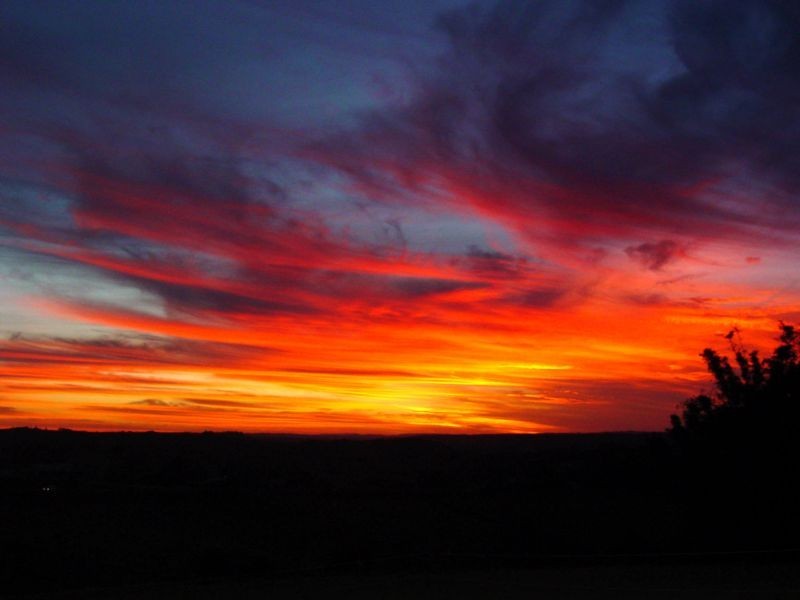 440 Bangalow Road, Talofa NSW 2481