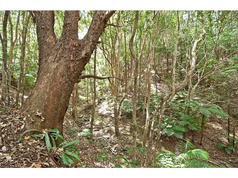 Lot 37,  Bullgarra Road, Wilsons Creek NSW 2482