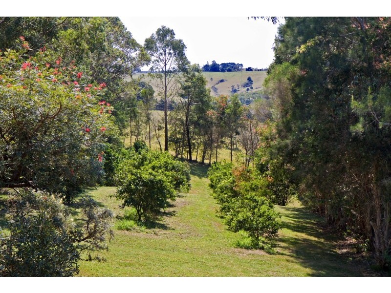 424 Coopers Shoot Road, Coopers Shoot NSW 2479