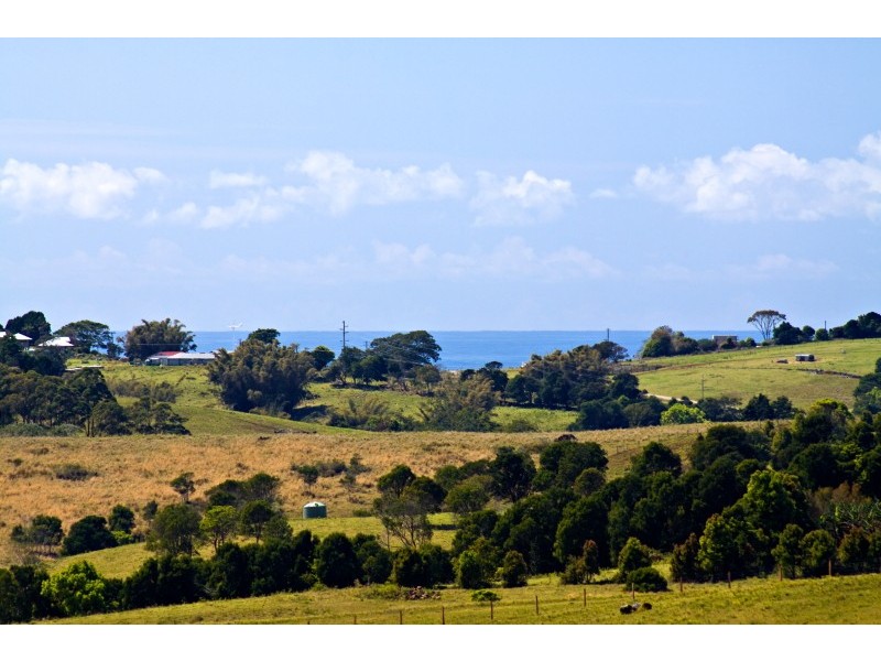 424 Coopers Shoot Road, Coopers Shoot NSW 2479