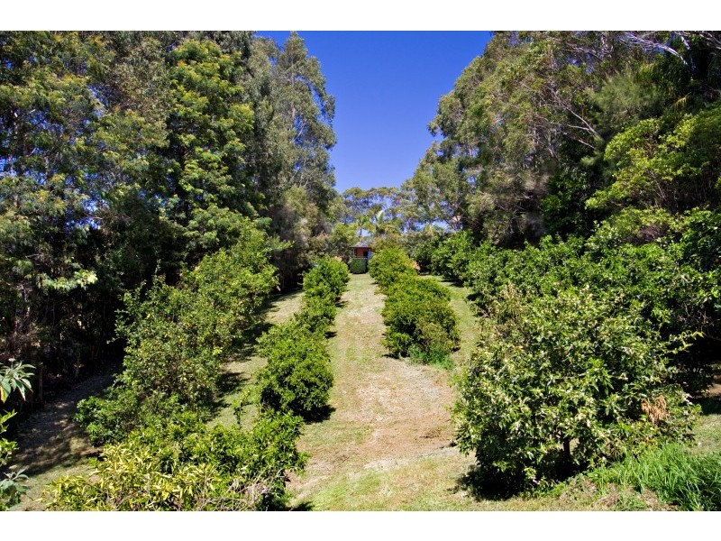 424 Coopers Shoot Road, Coopers Shoot NSW 2479