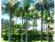 36 Kingsley Street, Byron Bay NSW 2481