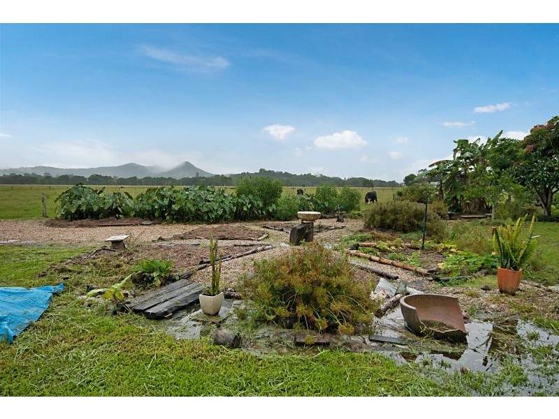 34 Wilsons Creek Road, Wilsons Creek NSW 2482