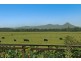 34 Wilsons Creek Road, Wilsons Creek NSW 2482