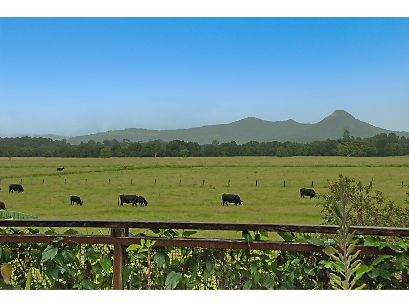 34 Wilsons Creek Road, Wilsons Creek NSW 2482