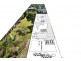 113 Paterson Street, Byron Bay NSW 2481