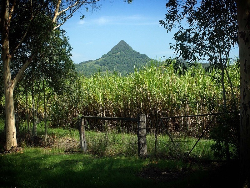 72 & 72a Burringbar Street, Mullumbimby NSW 2482