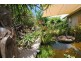3 Macadamia Lane, Federal NSW 2480