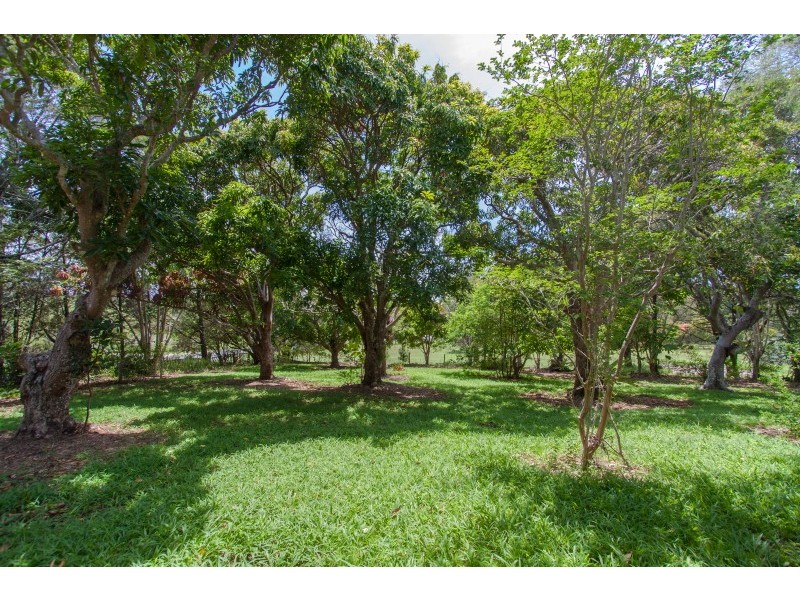 81 Myocum Road, Ewingsdale NSW 2481