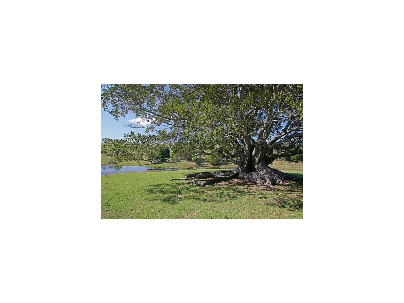 174 Dingo Lane, Myocum NSW 2481