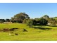 813 Myocum Road, Myocum NSW 2481
