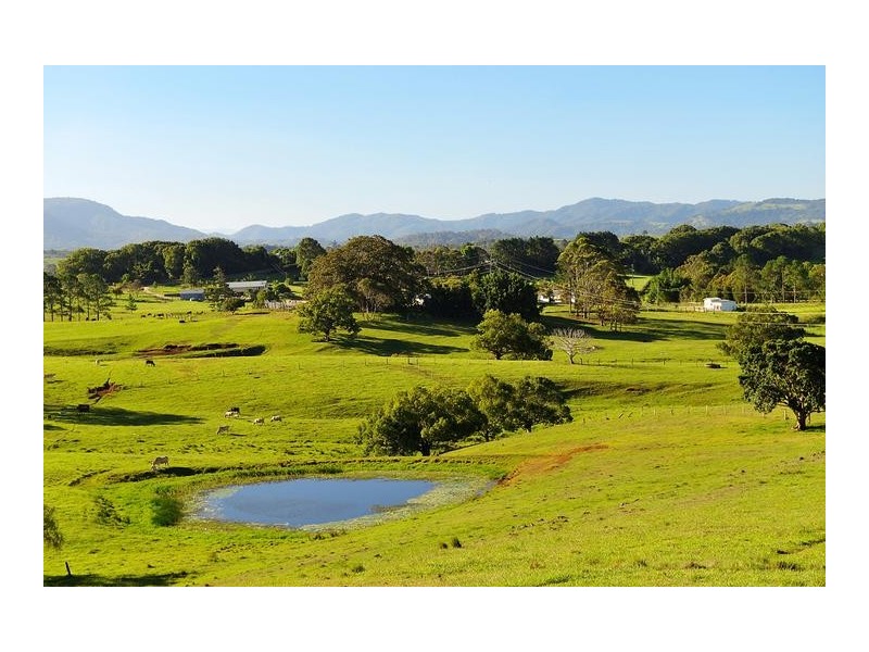 813 Myocum Road, Myocum NSW 2481