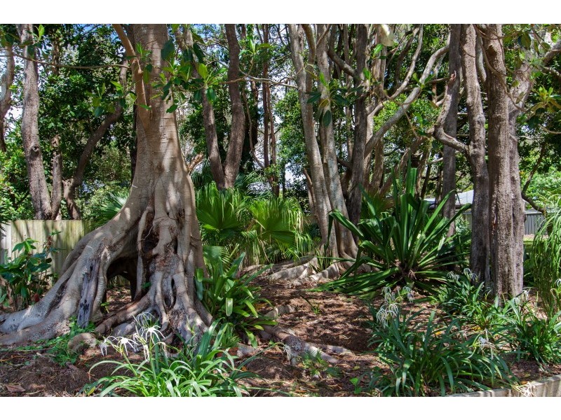 34 Bangalow Road, Byron Bay NSW 2481