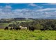 186 St Helena Road, Mcleods Shoot NSW 2479