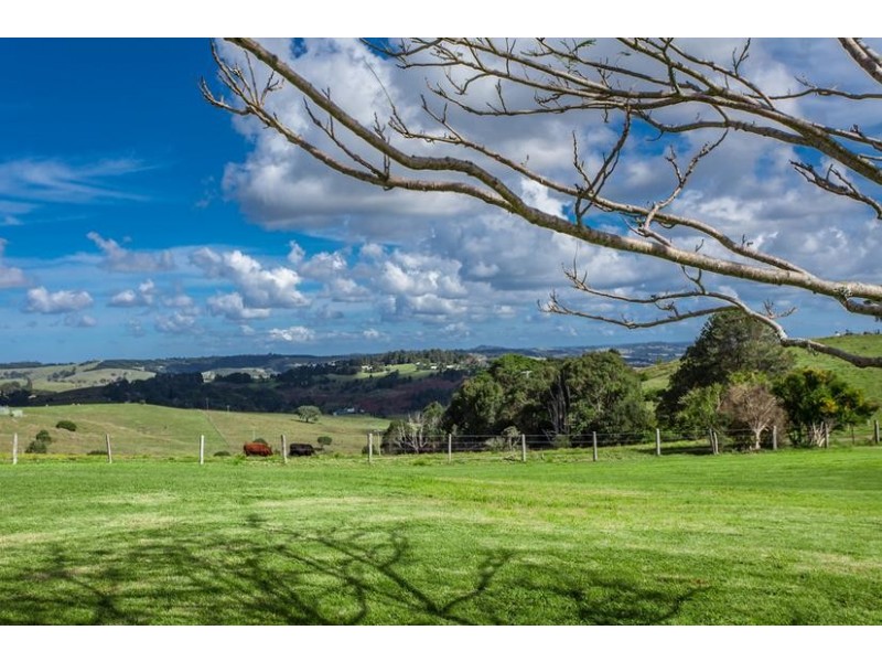 186 St Helena Road, Mcleods Shoot NSW 2479
