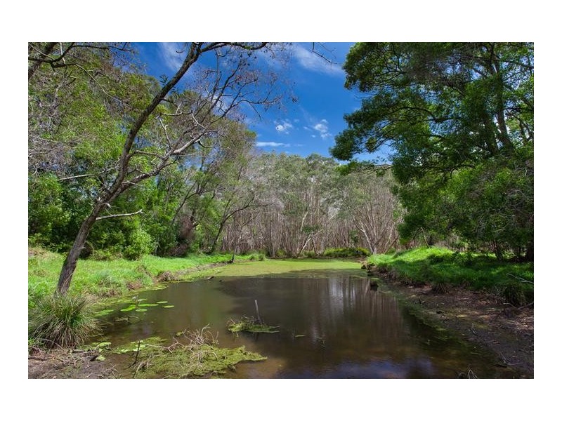 53 Kingsvale Road, Myocum NSW 2481