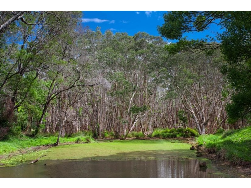 53 Kingsvale Road, Myocum NSW 2481