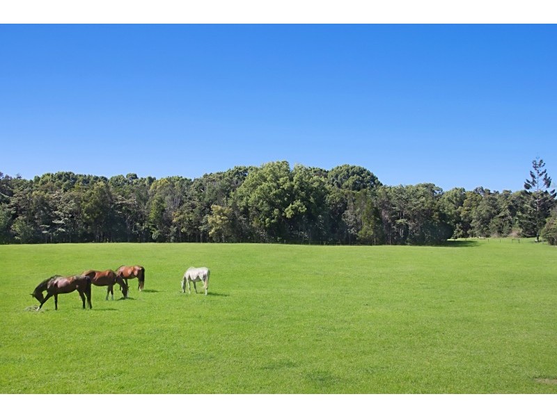 125 Main Arm Road, Mullumbimby NSW 2482