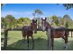 125 Main Arm Road, Mullumbimby NSW 2482