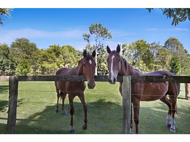 125 Main Arm Road, Mullumbimby NSW 2482