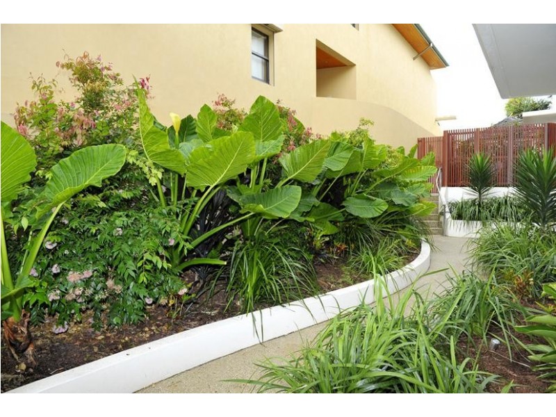 3/22 Bay Street, Byron Bay NSW 2481