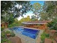 169 Cedar Road, Wilsons Creek NSW 2482