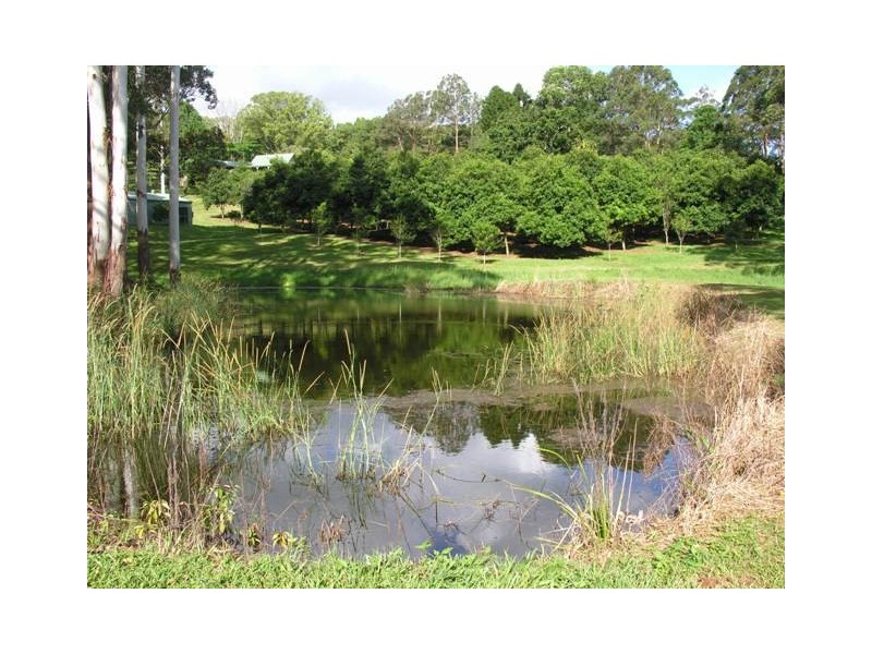 3 East Road, Dunoon NSW 2480
