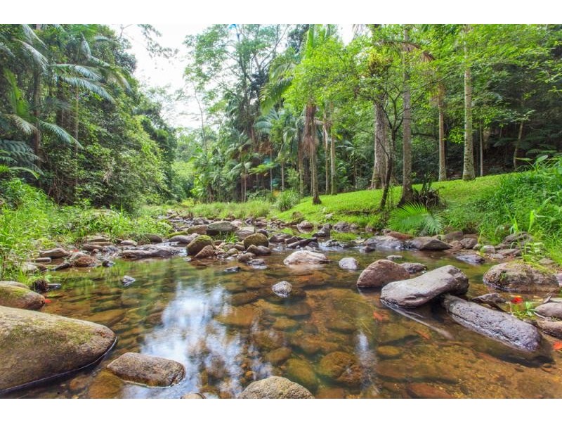 150 Upper Wilsons Creek Road, Wilsons Creek NSW 2482