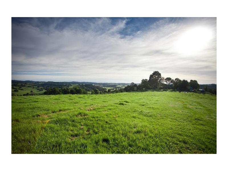 138 Hull Road, Rosebank NSW 2480