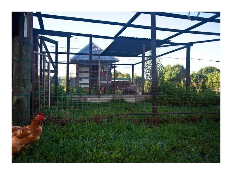 138 Hull Road, Rosebank NSW 2480