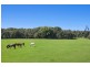 125 Main Arm Road, Mullumbimby NSW 2482