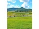 Tuckeroo Avenue, Mullumbimby NSW 2482