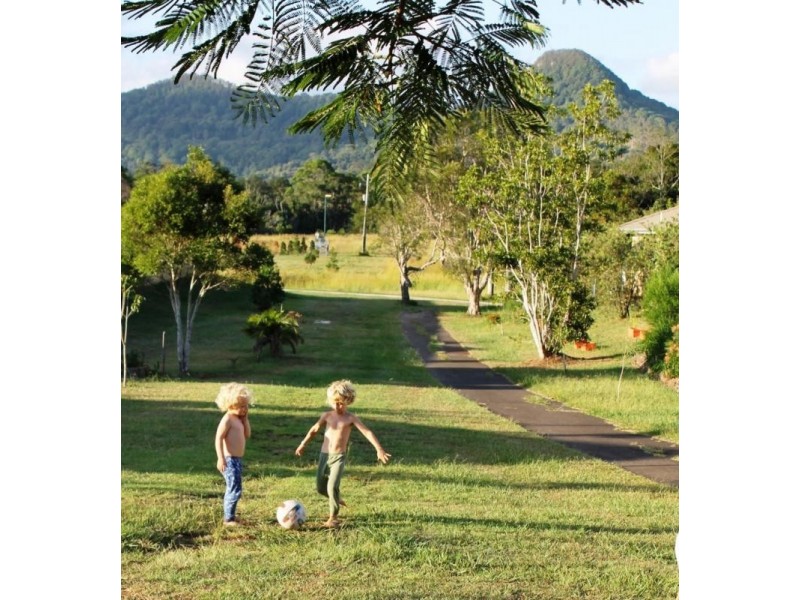 Tuckeroo Avenue, Mullumbimby NSW 2482