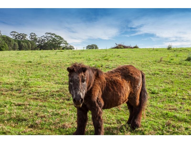 Lot 32 Goremans Road, Eureka NSW 2480