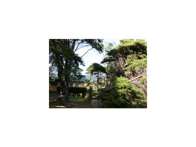 251 Coopers Shoot
ROAD, Byron Bay NSW 2481