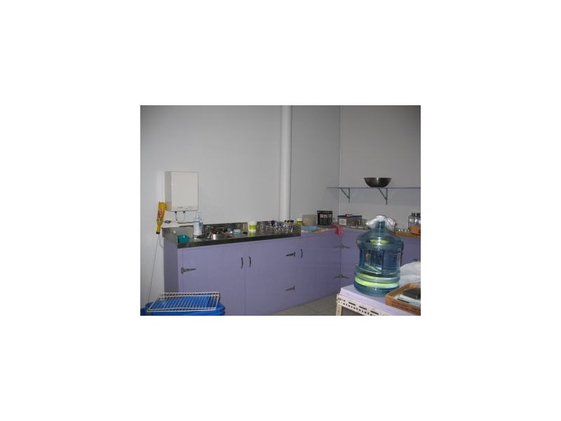 1/8 Wollongbar Street, Byron Bay NSW 2481