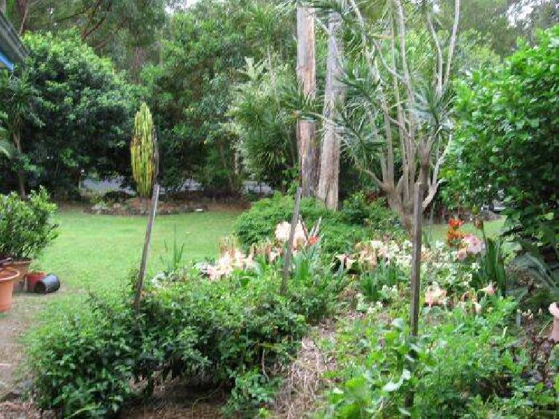 49 Lilli Pilli Drive, Byron Bay NSW 2481