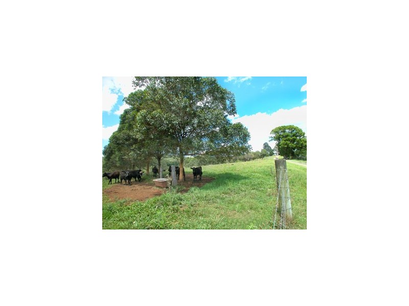 627 Myocum Road, Myocum NSW 2481