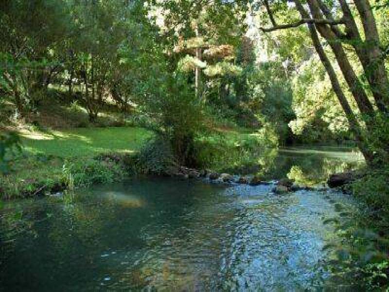 4 Pine Mountain Road, Possum Creek NSW 2479